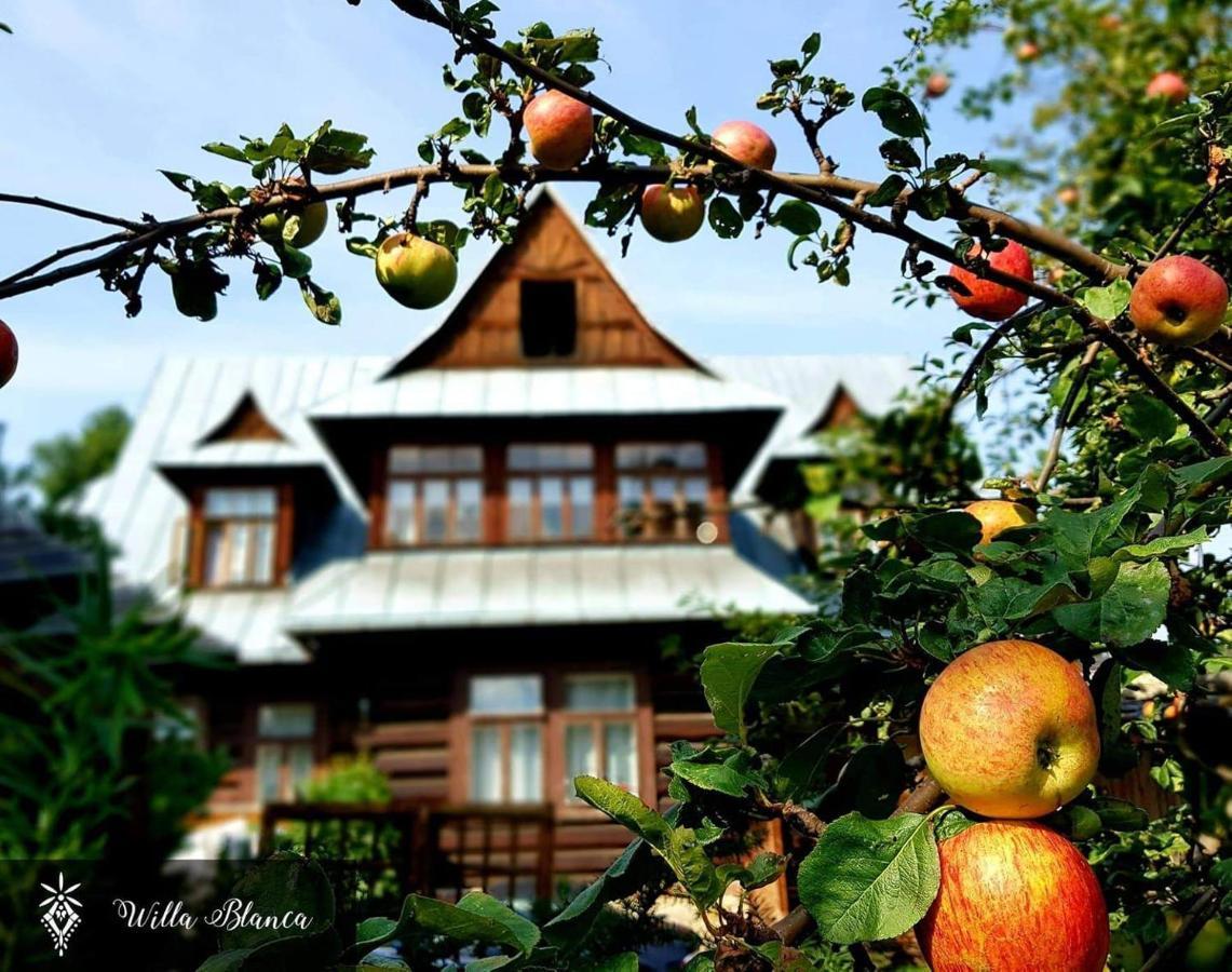 Willa Blanca Zakopane Acomodação com café da manhã Exterior foto